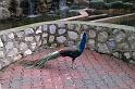 KL_BirdPark (1)